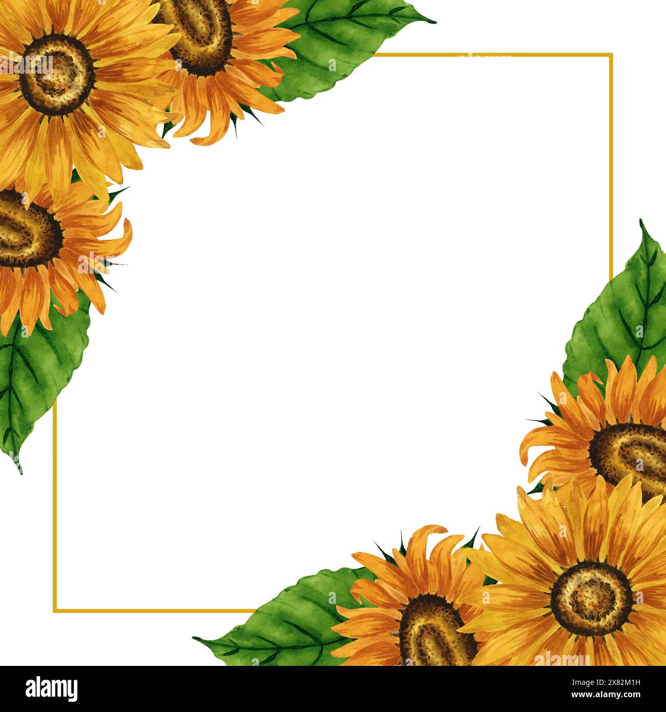 Cadre d'angle pour tournesols aquarelle. Cadre carré avec fleurs jaunes. Composition florale estivale. Arrangement de fleurs d'automne. Botanique dessiné à la main Banque D'Images