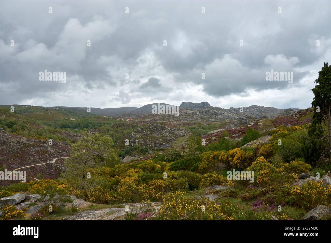 Vue panoramique sur une journée nuageuse du paysage de Castro Lameiro situé à 1033 mètres d'altitude, dans le parc national de Peneda-Gerês. Banque D'Images