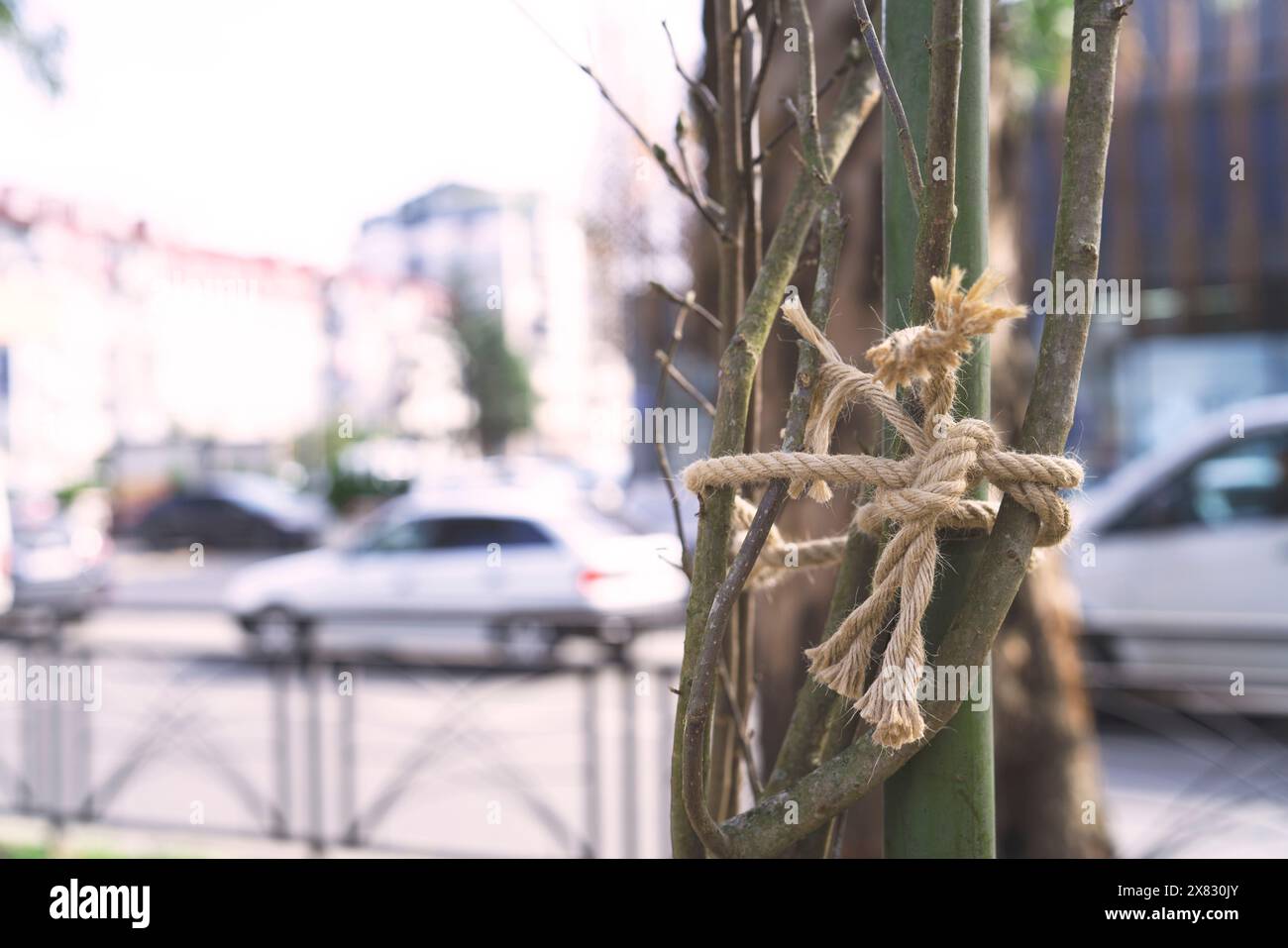 Corde à l'arbre dans le parc pour protéger et groupe de branche pour l'arrière-plan et l'inspiration Banque D'Images