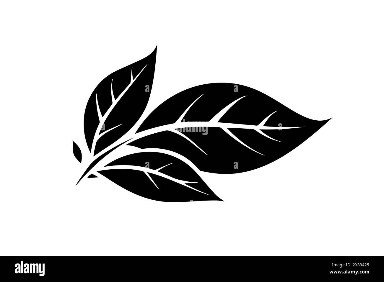 Illustration vectorielle de feuille dessinée à la main : conception de logotype d'icône de feuilles d'arbre diverses. Illustration de Vecteur