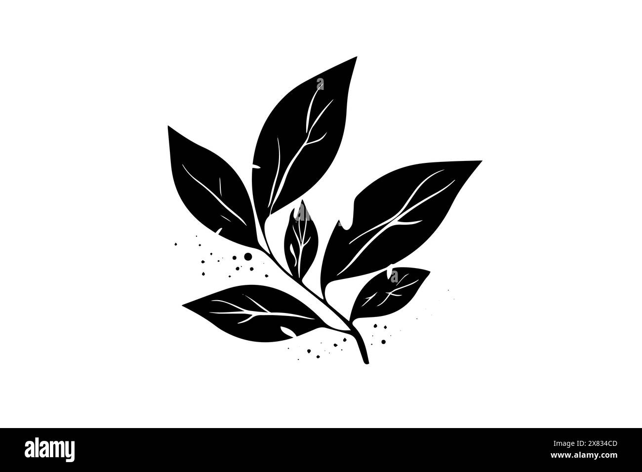 Illustration vectorielle de feuille dessinée à la main : conception de logotype d'icône de feuilles d'arbre diverses. Illustration de Vecteur