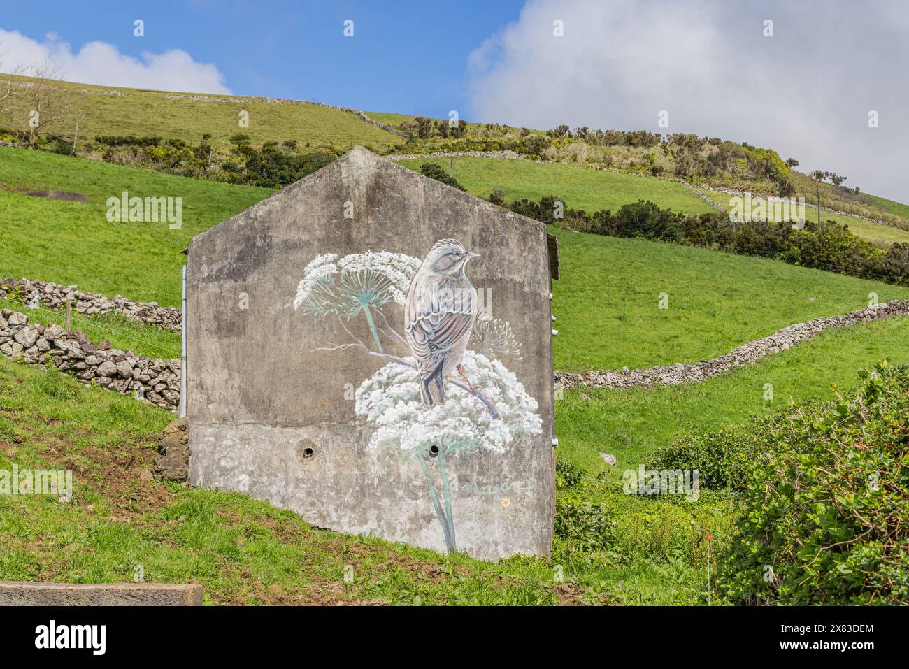 Santa Cruz das Flores, Flores, Açores, Portugal. 3 avril 2022. Murale d'un oiseau chanteur par l'artiste Morgan Bricca sur Flores Island. Banque D'Images