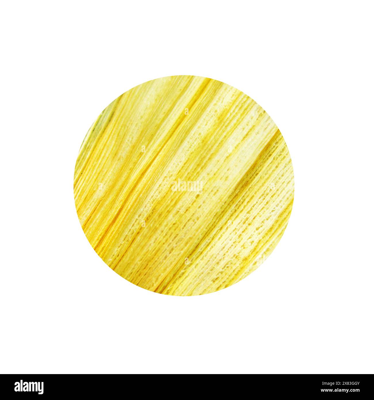 Fond de cercle, avec texture de peau de maïs Banque D'Images