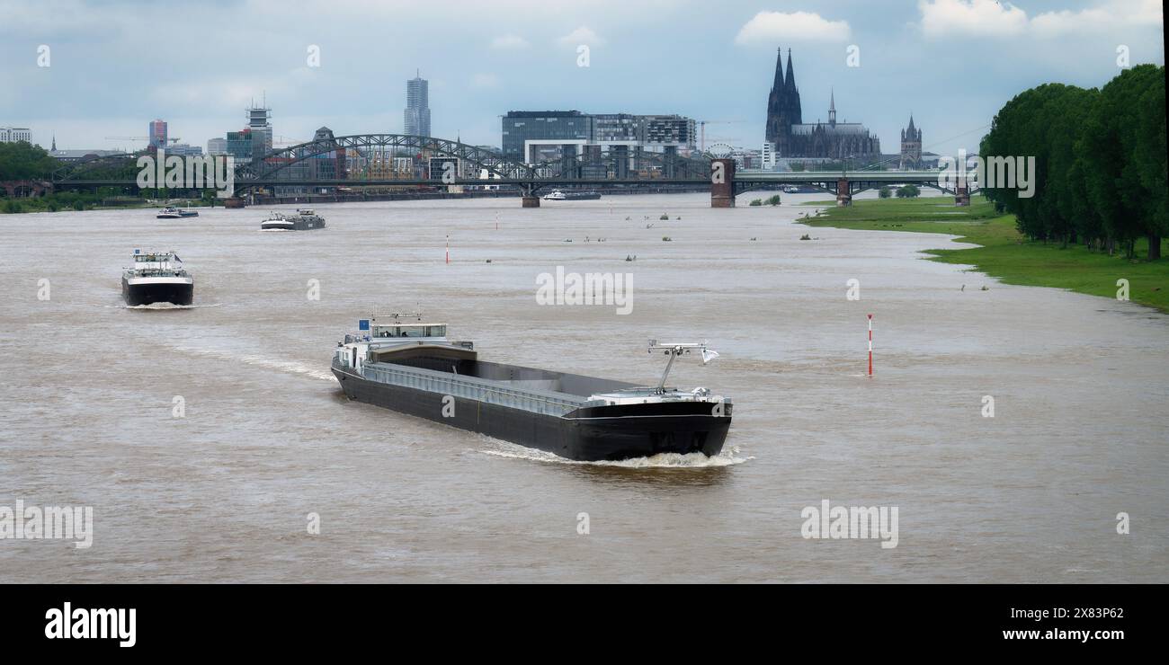 Cologne, Allemagne 22 mai 2024 : une rangée de cargos se déplace en amont sur le rhin inondé à travers cologne Banque D'Images