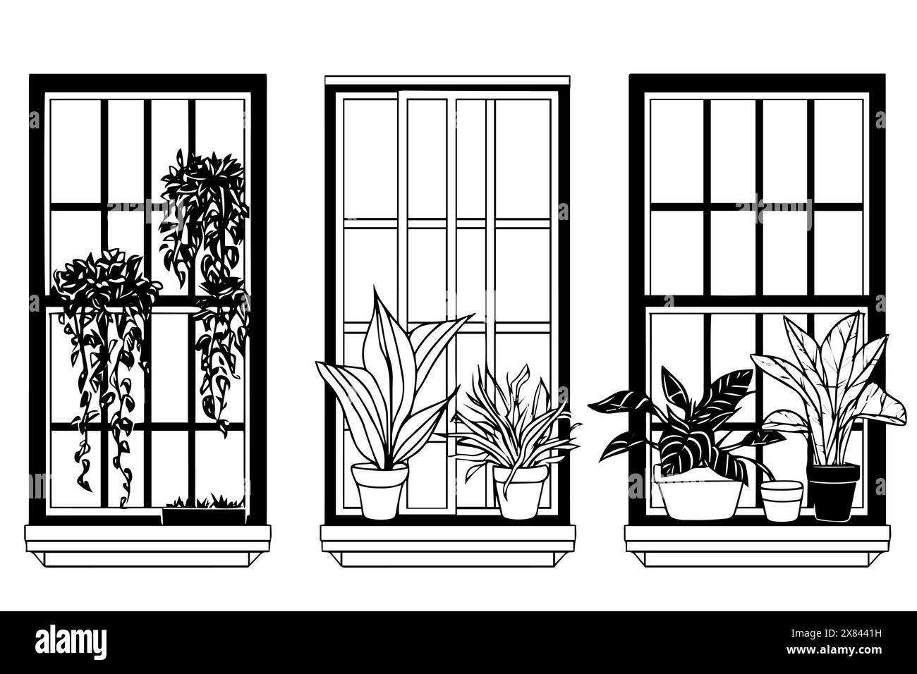 Esquisse de fenêtre dessinée à la main. Illustration vectorielle vintage d'un cadre fermé. Illustration de Vecteur