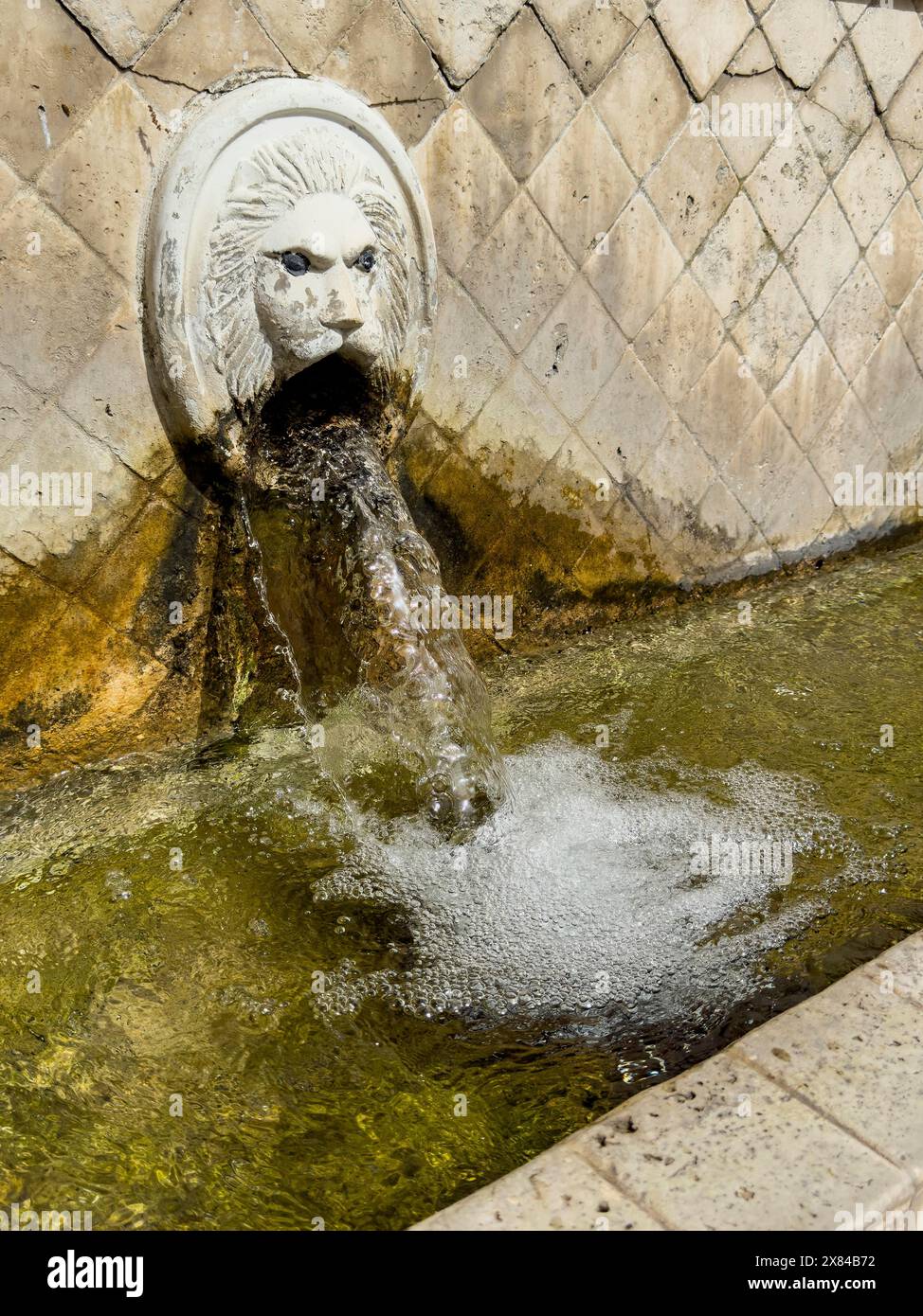 Vue partielle de grand dans l'image gargouille en forme de tête de lion tête de lion en dessous du bassin de collecte de la fontaine du lion fontaine vénitienne Banque D'Images