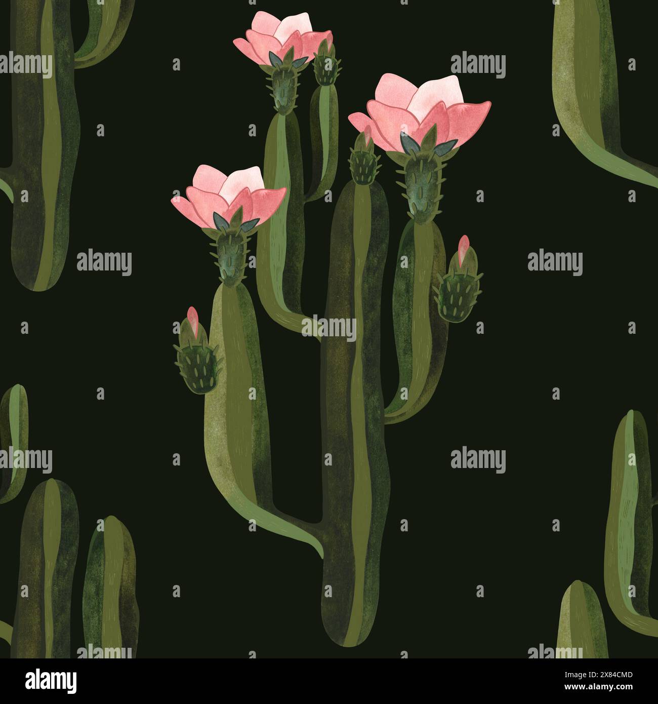 Cactus. Motif aquarelle sans couture pour papier d'emballage, papier peint et textiles. Banque D'Images