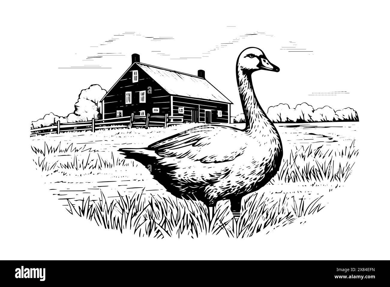 Paysage rural avec croquis à l'encre dessiné à la main de canard. Illustration vectorielle de style gravé. Illustration de Vecteur