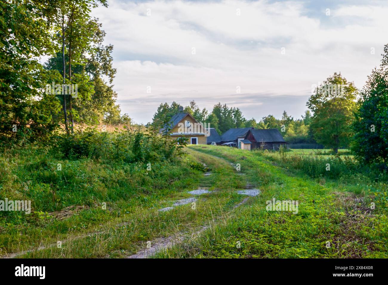 Beau paysage un jour d'été en Lettonie. Nature à la campagne. Banque D'Images
