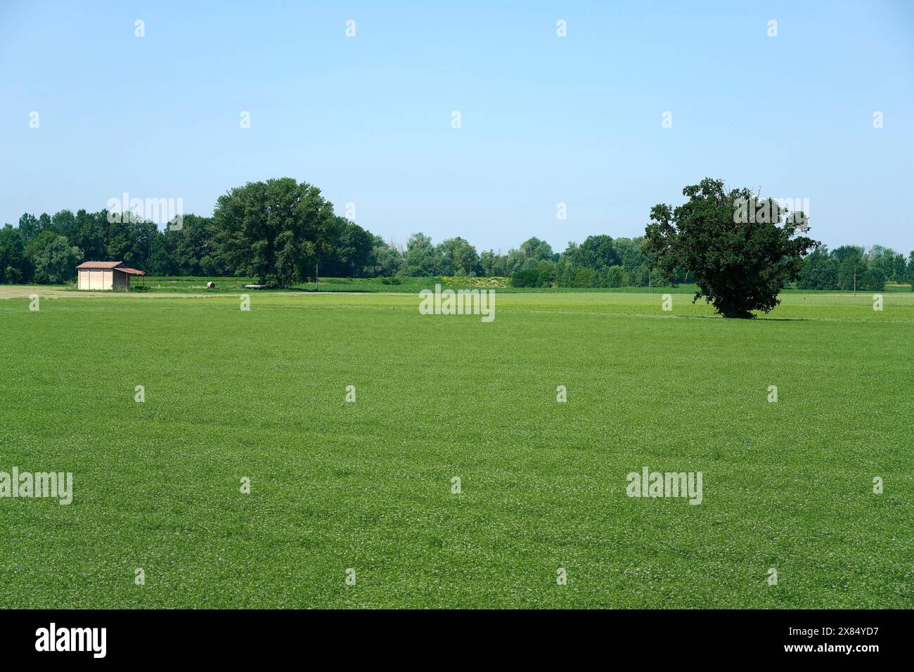 Trebbo di Reno (Bo) , Italie, un paysage dans la campagne émilienne Banque D'Images