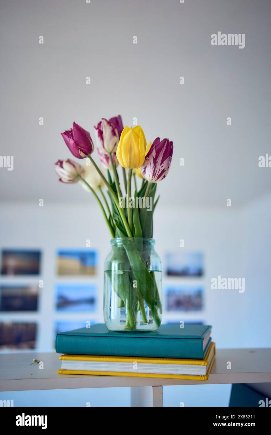 un bouquet de tulipes multicolores dans un bocal transparent à l'intérieur Banque D'Images