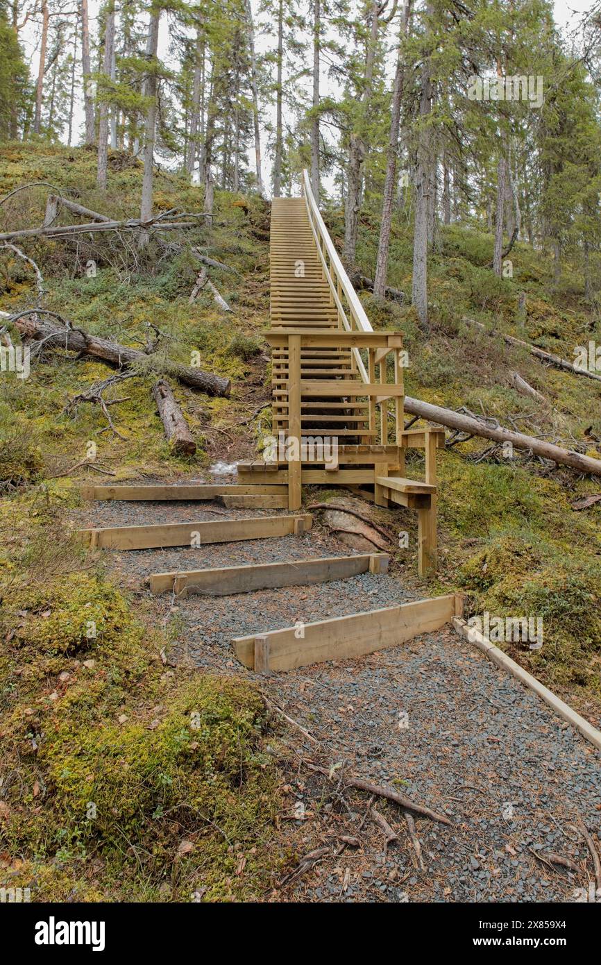 Une passerelle en bois dans la forêt par temps nuageux de printemps, Oulanka Canyon, Oulanka National Park, Salla, Laponie, Finlande. Banque D'Images