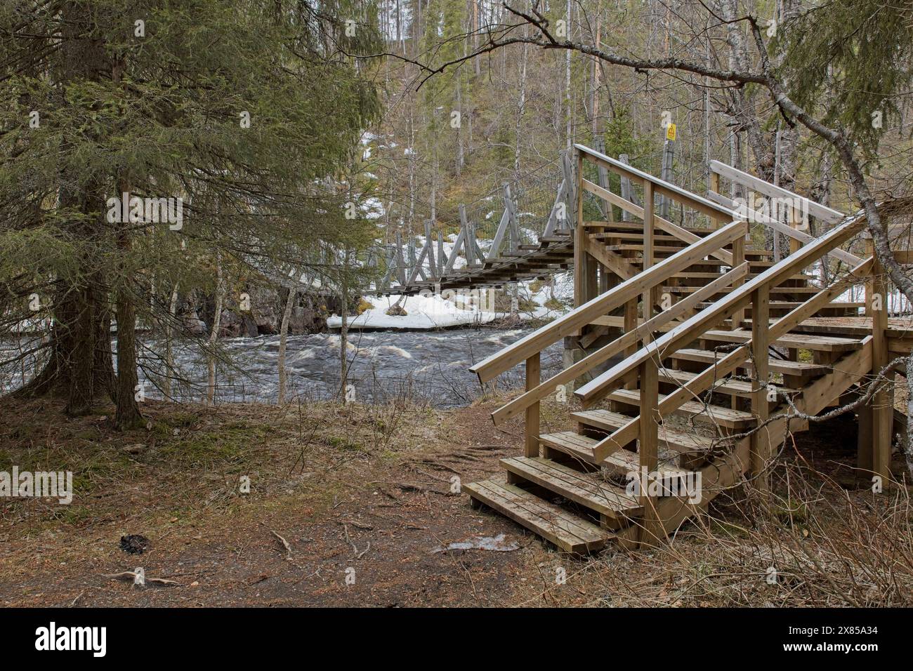 Pont suspendu sur la rivière Oulankajoki dans la forêt au printemps, Oulanka Canyon, Oulanka National Park, Salla, Laponie, Finlande. Banque D'Images