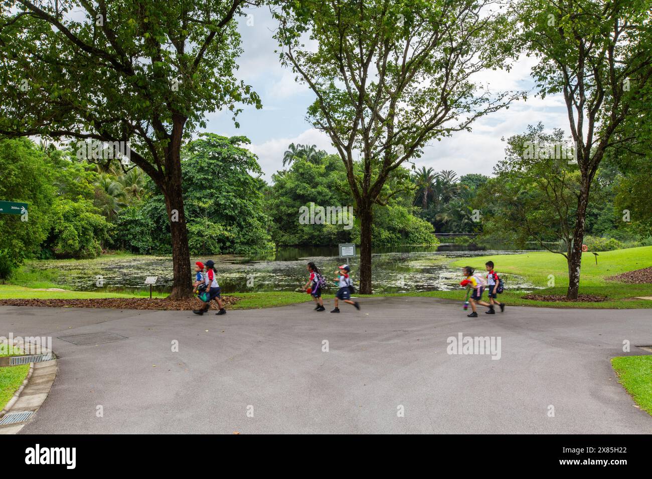 Un groupe d'écoliers animés et énergiques marchent et courent devant le lac essaim aux jardins botaniques de Singapour. Déclaré site du patrimoine de l'UNESCO. Banque D'Images