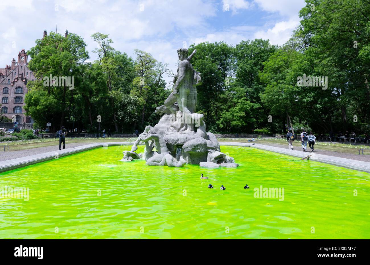 Munich, Allemagne. 23 mai 2024. L'eau de couleur verte peut être vue dans la fontaine de Neptune dans le centre-ville. Des militants écologistes ont teint l'eau de plusieurs fontaines de Munich en vert vif. Avec cette action, les militants du groupe "extinction Rebellion" veulent attirer l'attention sur la mortalité des insectes et protester contre la politique environnementale du gouvernement bavarois. Crédit : Sven Hoppe/dpa/Alamy Live News Banque D'Images