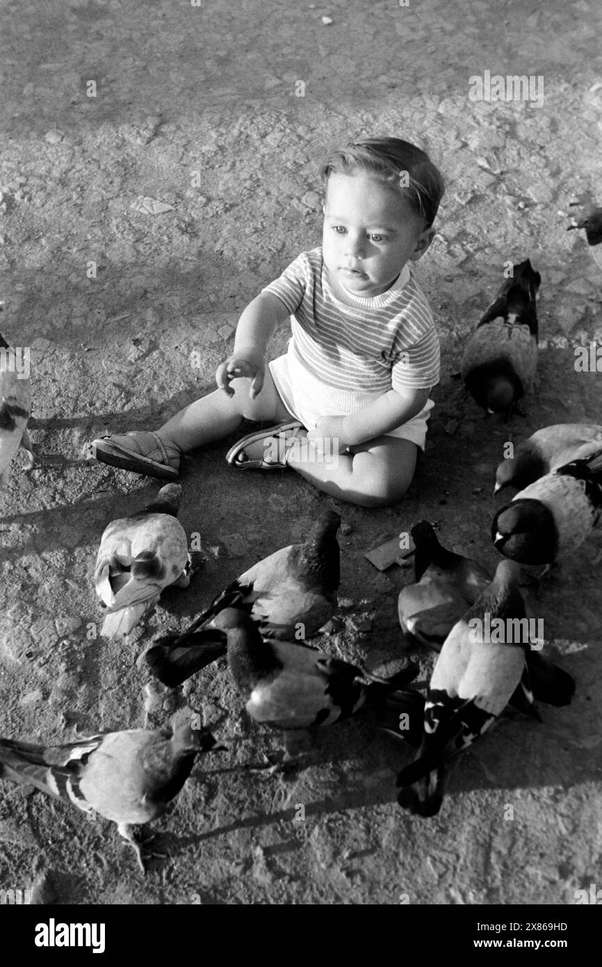 Ein Kleinkind sitzt zwischen Tauben auf dem Boden der Plaza de Cataluña à Barcelone, Espagne 1957. Un petit enfant est assis parmi les pigeons sur le sol de la Plaza de Cataluña à Barcelone, Espagne 1957. Banque D'Images Ein Kleinkind sitzt zwischen Tauben auf dem Boden der Plaza de Cataluña à Barcelone, Espagne 1957. Un petit enfant est assis parmi les pigeons sur le sol de la Plaza de Cataluña à Barcelone, Espagne 1957. Banque D'Images