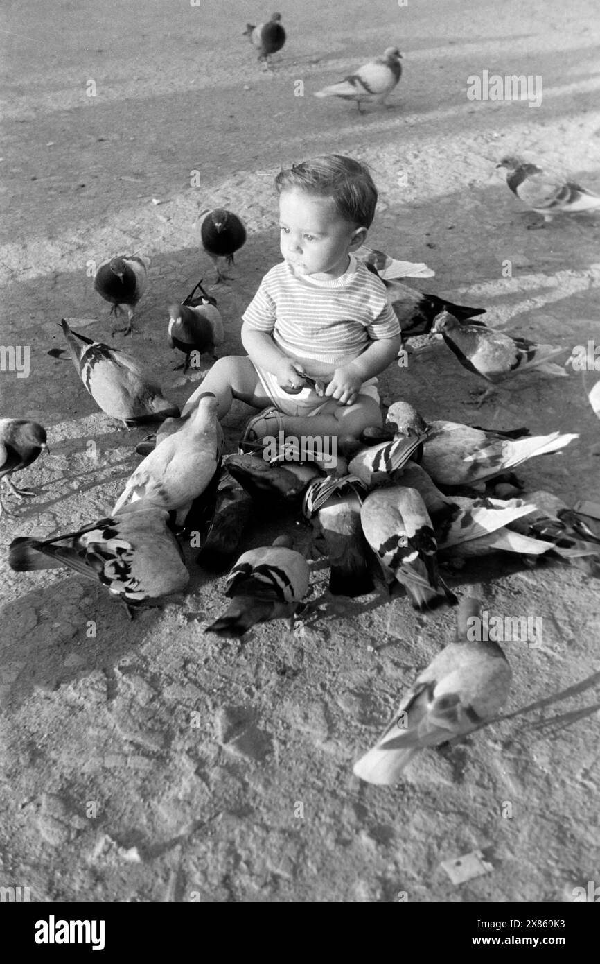 Ein Kleinkind sitzt zwischen Tauben auf dem Boden der Plaza de Cataluña à Barcelone, Espagne 1957. Un petit enfant est assis parmi les pigeons sur le sol de la Plaza de Cataluña à Barcelone, Espagne 1957. Banque D'Images Ein Kleinkind sitzt zwischen Tauben auf dem Boden der Plaza de Cataluña à Barcelone, Espagne 1957. Un petit enfant est assis parmi les pigeons sur le sol de la Plaza de Cataluña à Barcelone, Espagne 1957. Banque D'Images
