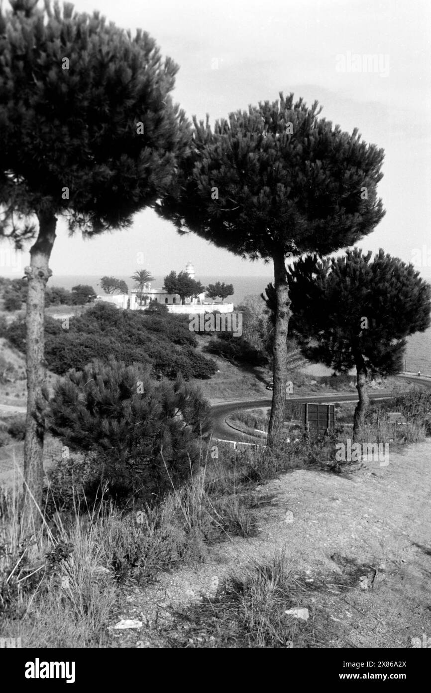 Pinien rahmen den Blick auf den Leuchtturm von Calella, der sich über die Serpentienstraße an der Costa del Maresme erhebt, Katalonien 1957. Les pins encadrent la vue sur le phare de Calella, qui s'élève au-dessus de la route serpentine sur la Costa del Maresme, Catalogne 1957. Banque D'Images