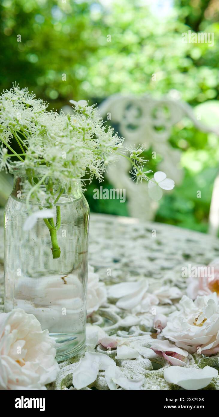 Un vase en verre avec une fleur blanche sur une table de jardin blanche. Concept de ressort. Banque D'Images