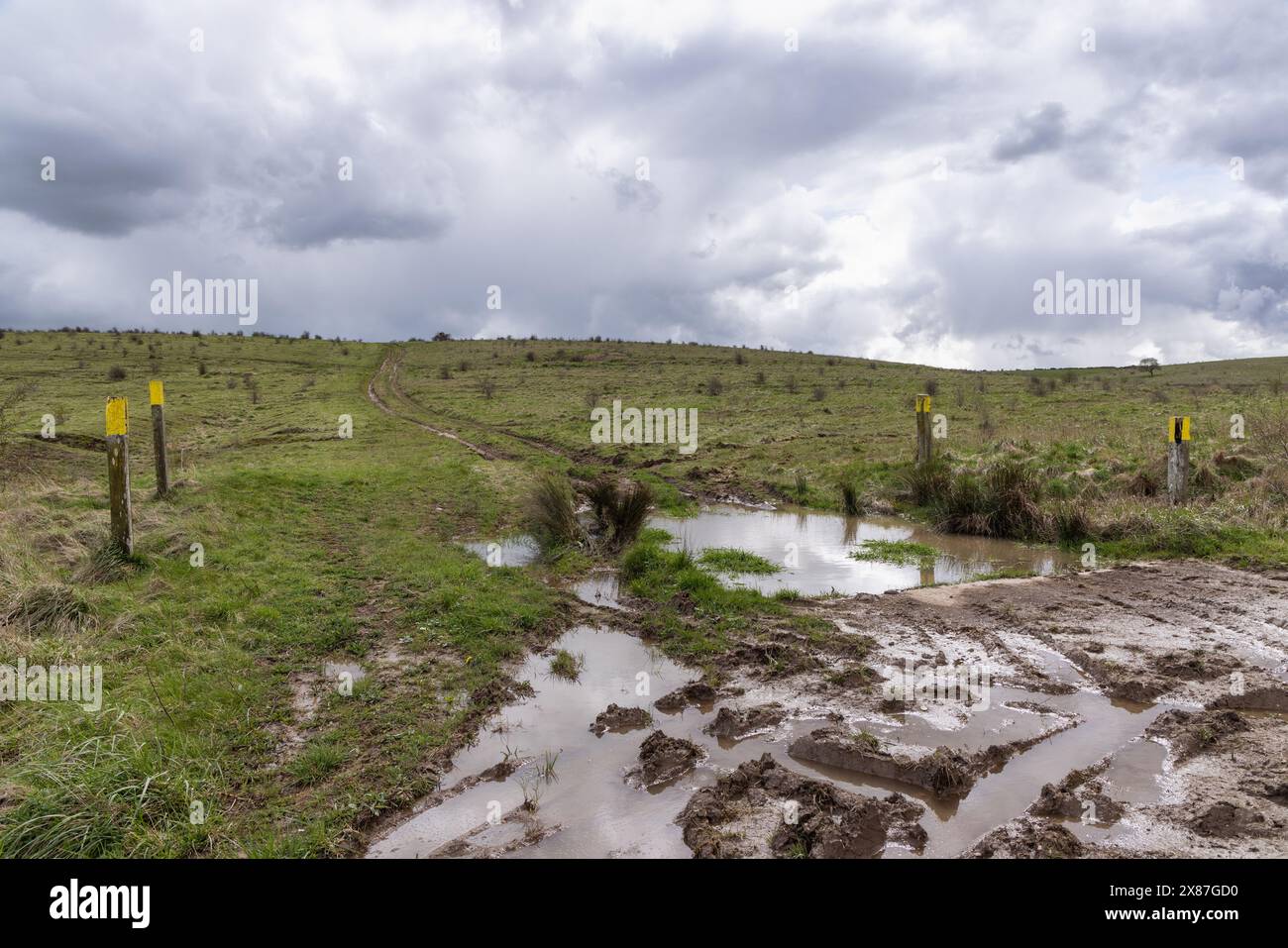 Salisbury Plain, région militaire de Wiltshire, Angleterre, Royaume-Uni Banque D'Images