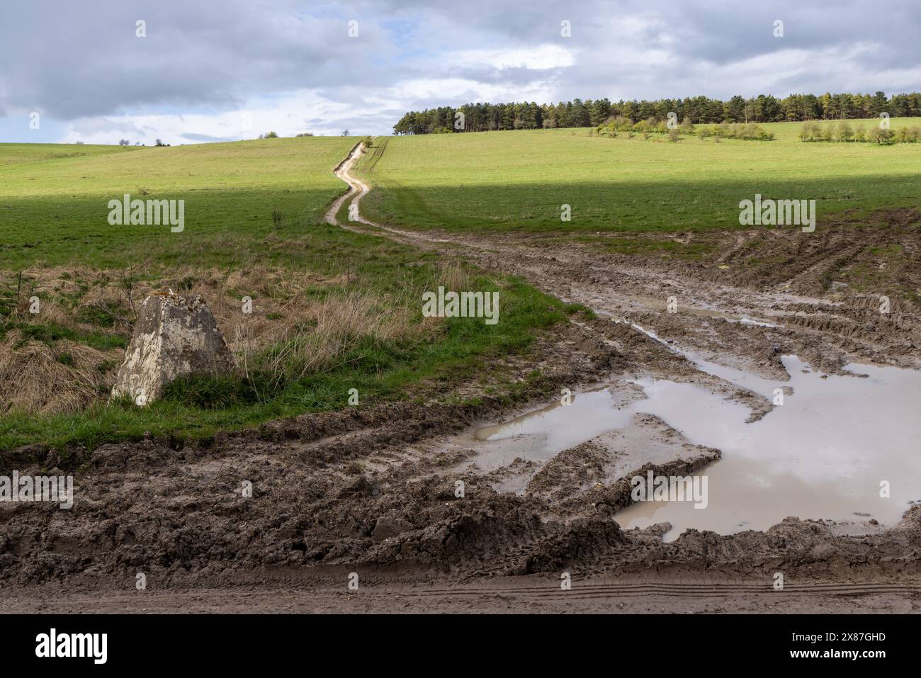Pistes boueuses sur la plaine de Salisbury, zone d'entraînement militaire du Wiltshire, Angleterre, Royaume-Uni Banque D'Images