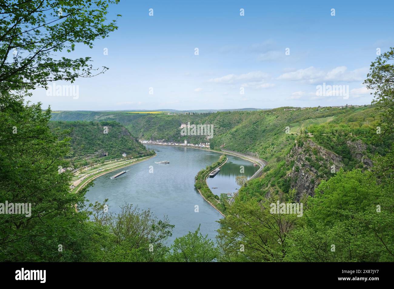 Vue de Loreley Rock dans le quartier Goarshausen, Rhénanie Palatinat, Allemagne Banque D'Images
