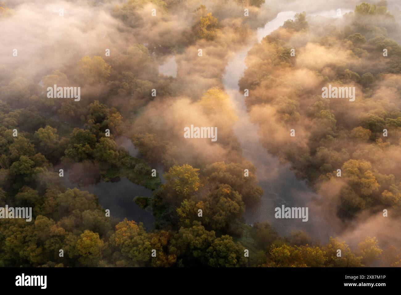 Allemagne, Bavière, vue aérienne de la rivière main enveloppée dans un épais brouillard d'automne Banque D'Images