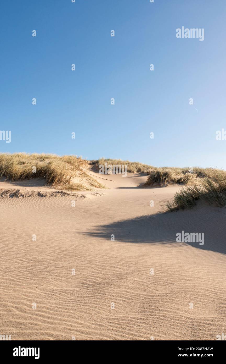 Portugal, dune de sable herbeux sur la plage Banque D'Images Portugal, dune de sable herbeux sur la plage Banque D'Images