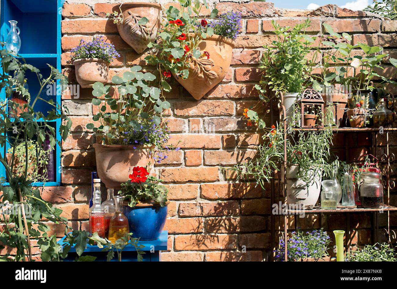 Plantes en pot sur le mur de briques dans le jardin d'été Banque D'Images Plantes en pot sur le mur de briques dans le jardin d'été Banque D'Images