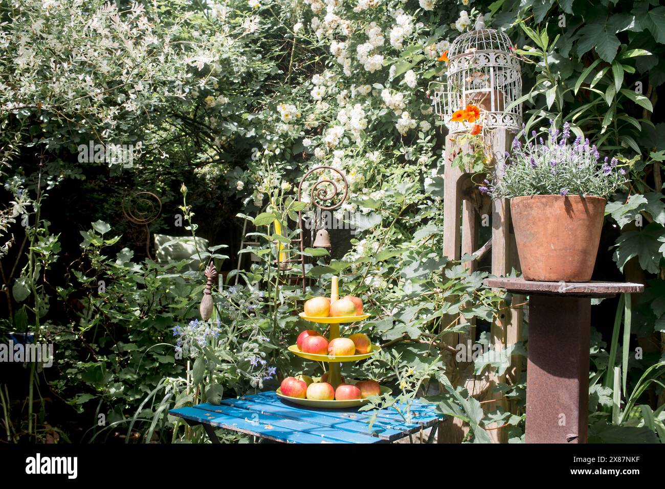 Pommes sur cakestand dans le jardin d'été rustique Banque D'Images Pommes sur cakestand dans le jardin d'été rustique Banque D'Images