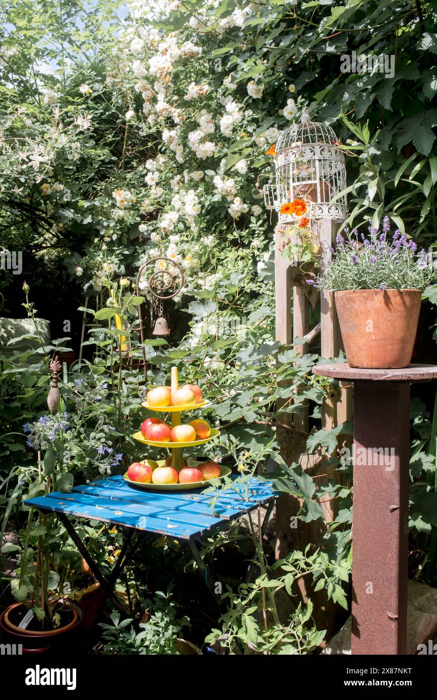 Pommes sur cakestand dans le jardin d'été rustique Banque D'Images