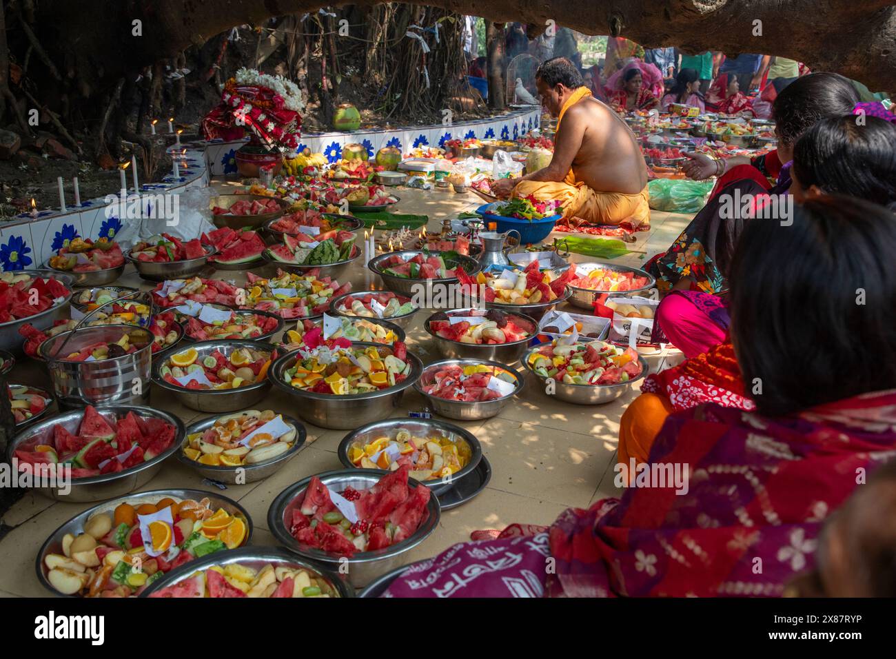 Les dévots se rassemblent pour vénérer le banyan près de Sonargaon Upazila Parishad à Narayanganj, suivant une tradition ancienne soutenue par le co-groupe hindou local Banque D'Images