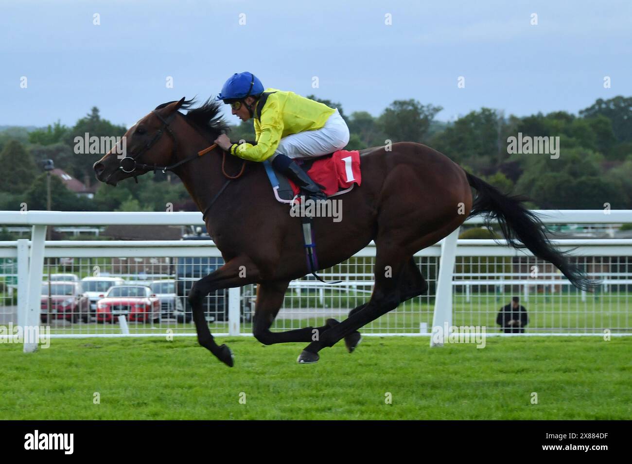 Sandown, Royaume-Uni. 23 mai 2024. Almaqam (casquette bleue), piloté par William Buick, remporte les Chasemore Farm Stud Staff Heron Stakes 8,12 à l'hippodrome de Sandown, au Royaume-Uni. Crédit : Paul Blake/Alamy Live News. Banque D'Images