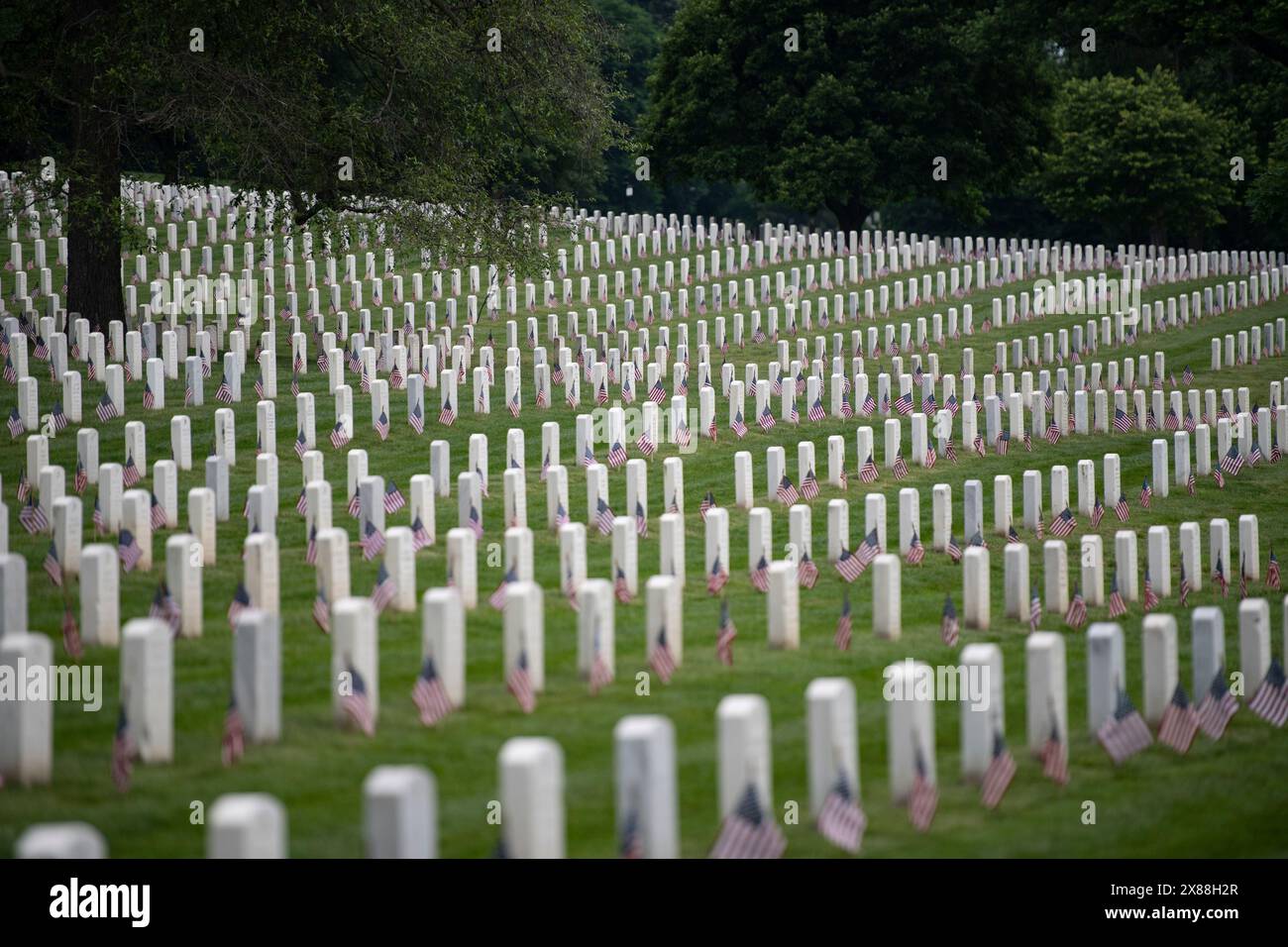 Arlington (États-Unis d'Amérique). 23 mai 2024. Arlington (États-Unis d'Amérique). 23 mai 2024. Des drapeaux américains bordent des rangées de tombes de soldats tombés en l'honneur du Memorial Day au cimetière national d'Arlington, le 23 mai 2024. Plus de 1 500 militaires ont placé environ 260 000 drapeaux à chaque tombe et colonne de niche du cimetière national d'Arlington lors de la 76e édition annuelle de Flags in Event. Crédit : Elizabeth Fraser/U.S. Armée/Alamy Live News Banque D'Images