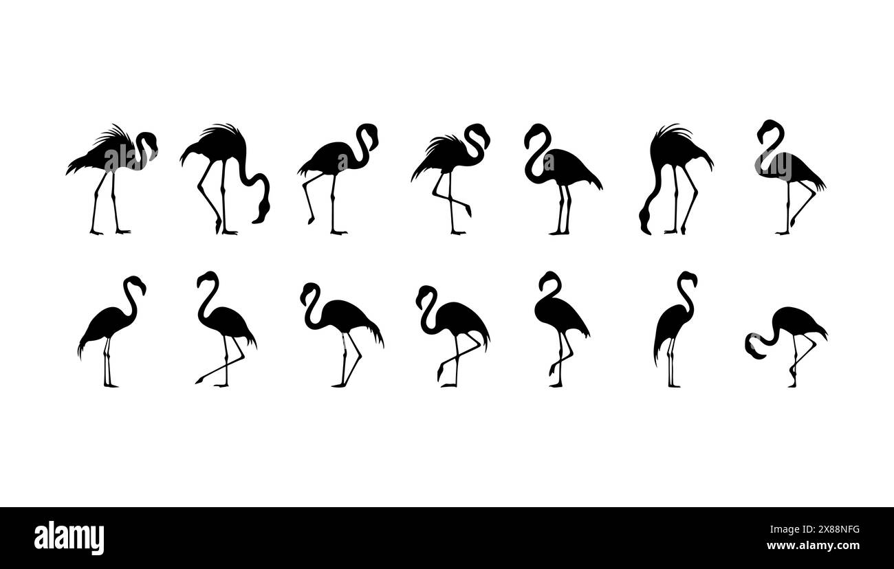 Silhouettes de Flamingo Set illustration vectorielle noire. Animal symbole de la faune et de l'art de dessin animé oiseau tropical. Découpez la collection exotique signe esquisse isolat Illustration de Vecteur