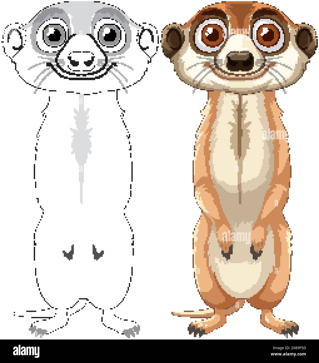 Versions couleur et contour d'une suricate Illustration de Vecteur