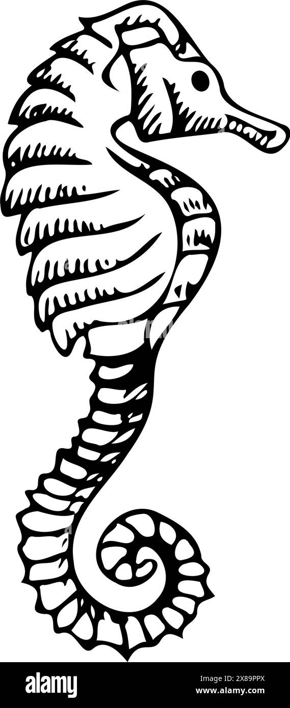 Hippocampe noir blanc animal sous-marin tropical Illustration de Vecteur