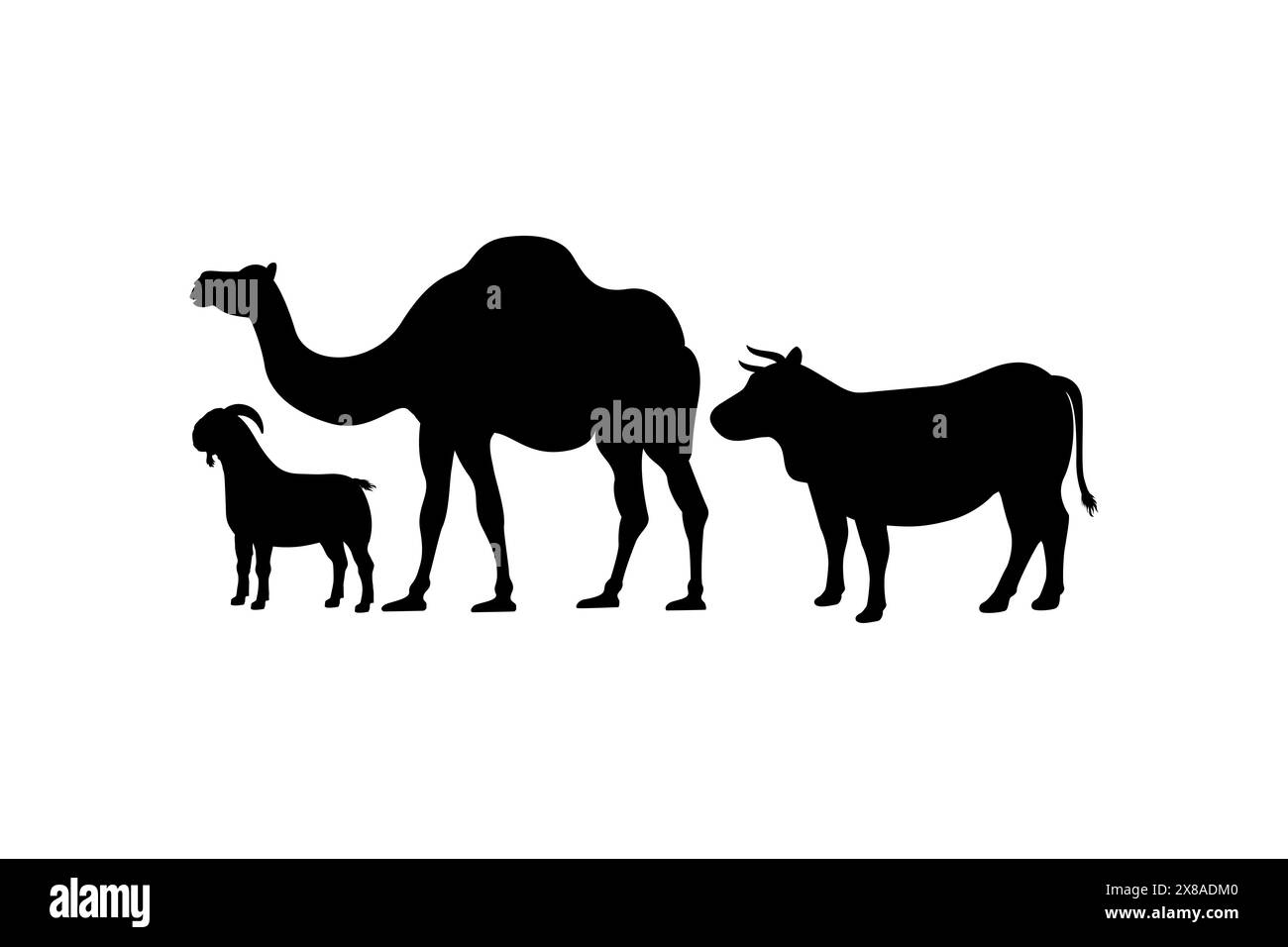 Silhouettes de vache, de chameau et de chèvre pour la conception de stock de ferme. Illustration vectorielle de silhouette d'animal sacrifice d'Eid al-Adha. Illustration de Vecteur