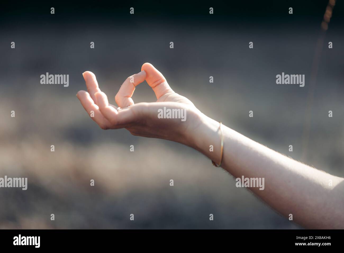 Main formant un geste tranquille dans une douce lumière naturelle Banque D'Images