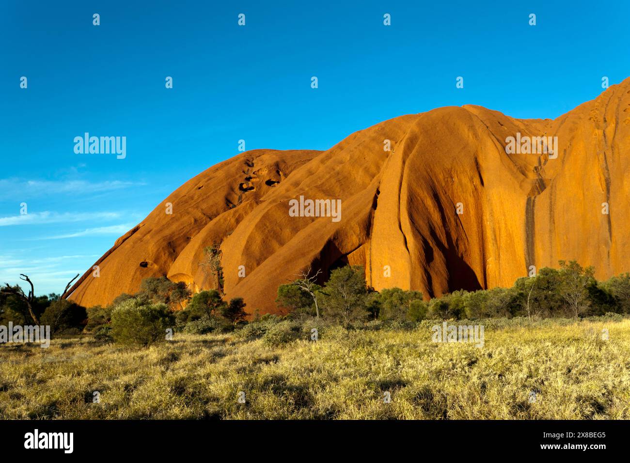 Vue en soirée d'une section d'Uluru, dans le parc national de Uluṟu-Kata Tjuṯa, territoire du Nord, Australie Banque D'Images