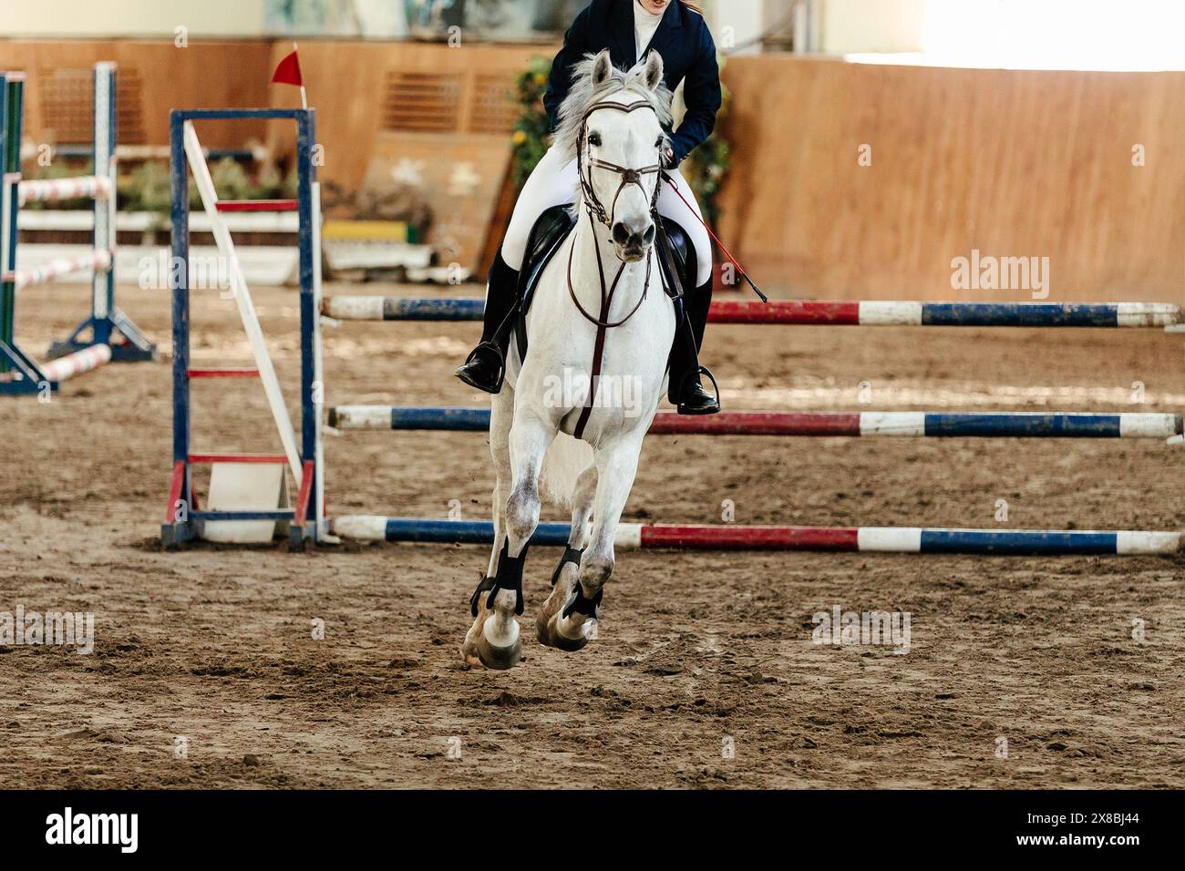 cavalier de femme sur cheval blanc dans la compétition de saut d'obstacles Banque D'Images