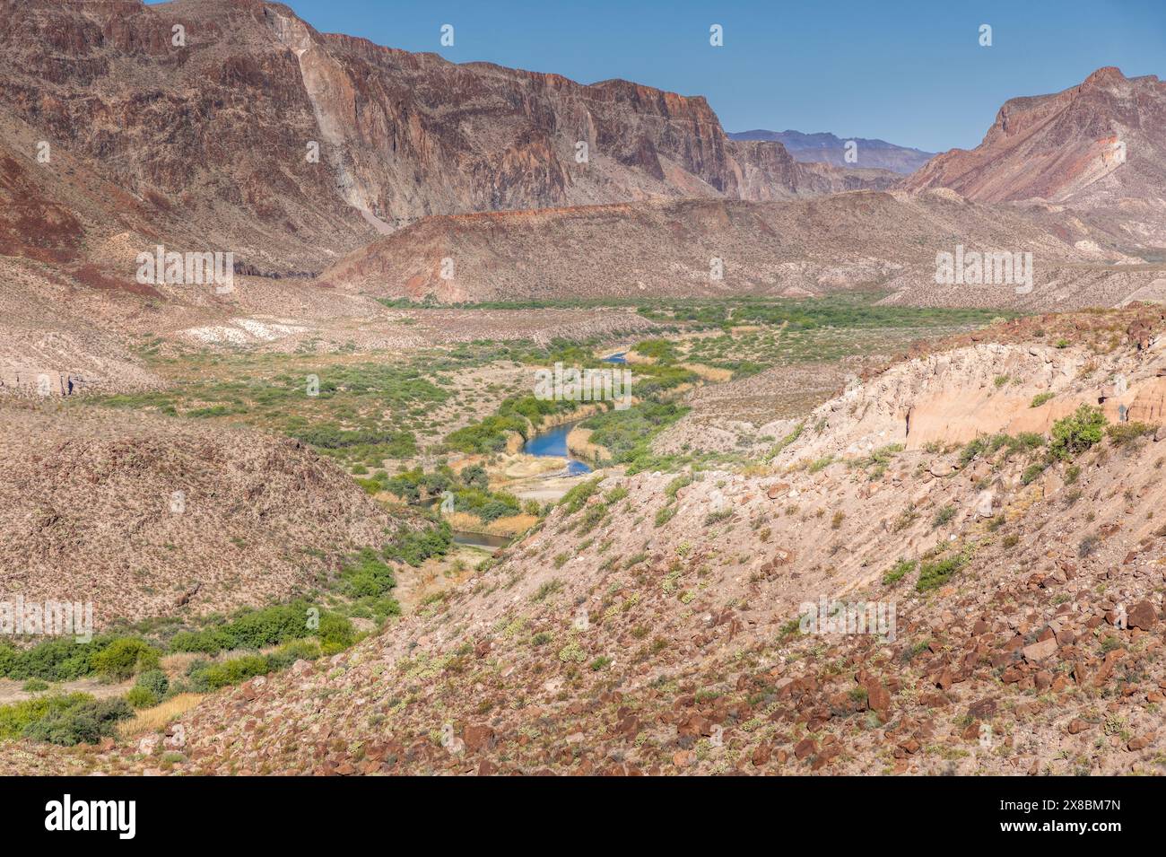 La bande verte de la rivière Rio Grande qui mène à travers le parc national de Big Bend, Texas États-Unis Banque D'Images