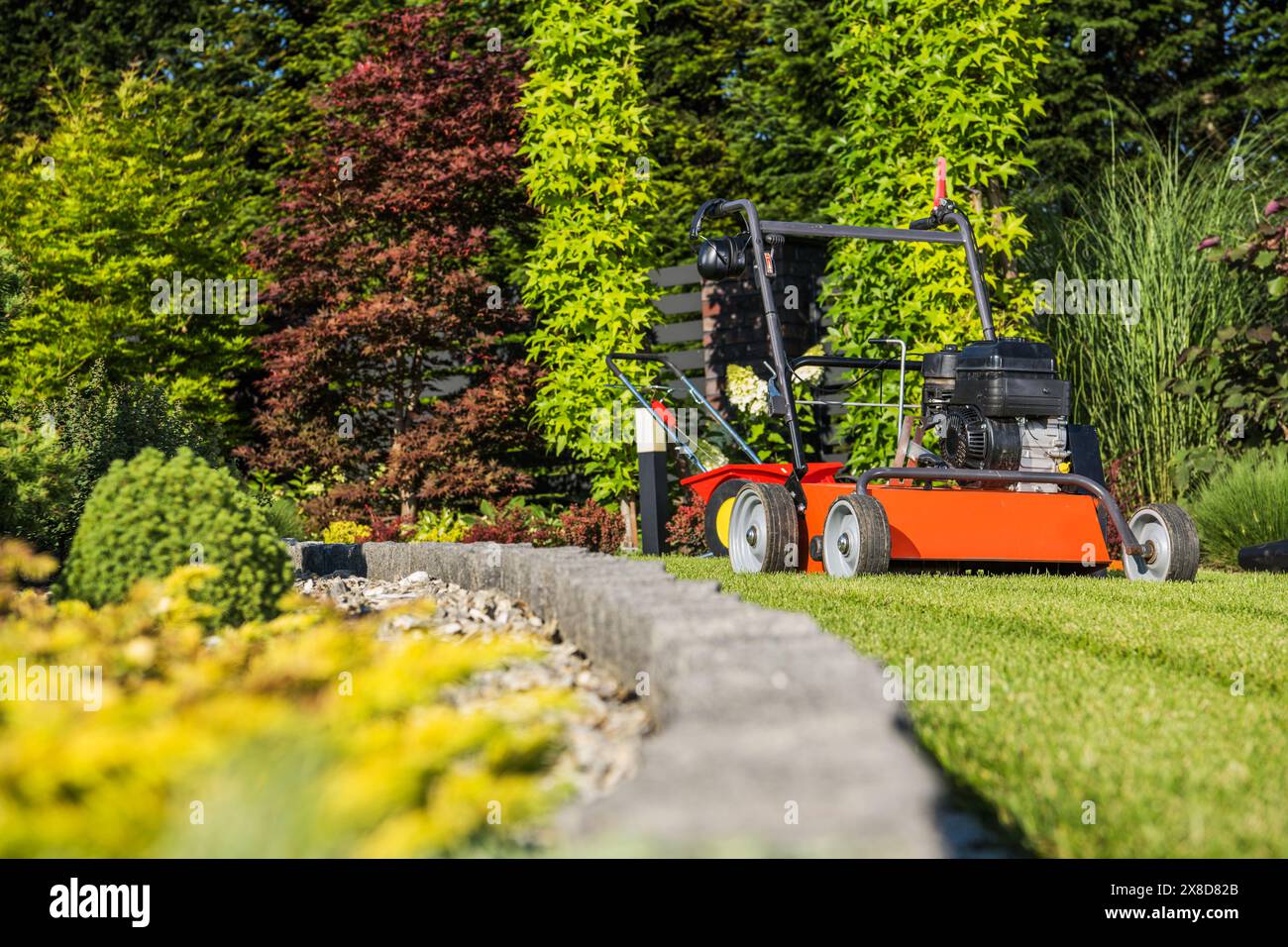 Aération de la pelouse à l'aide d'un aérateur à essence. Thème jardinage et aménagement paysager. Banque D'Images