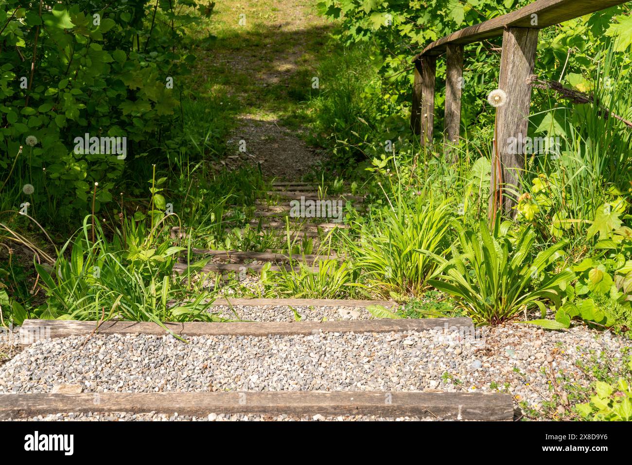 Vieil escalier raide envahi par la végétation avec du gravier menant vers le bas. Une vieille balustrade vacillante offre un peu de sécurité. Belle journée ensoleillée. Banque D'Images