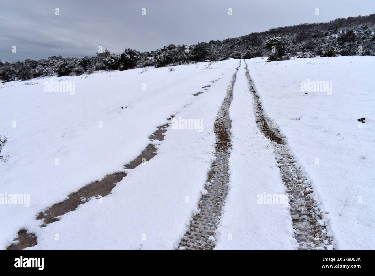 Marques de pneus sur la neige dans un paysage enneigé Banque D'Images