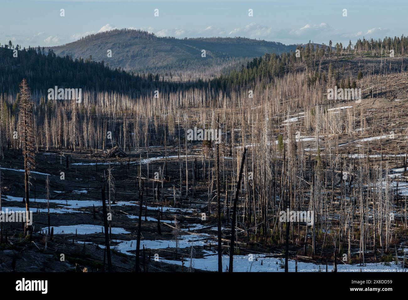 Le paysage montagneux du parc national volcanique de Lassen en Californie du Nord. Banque D'Images