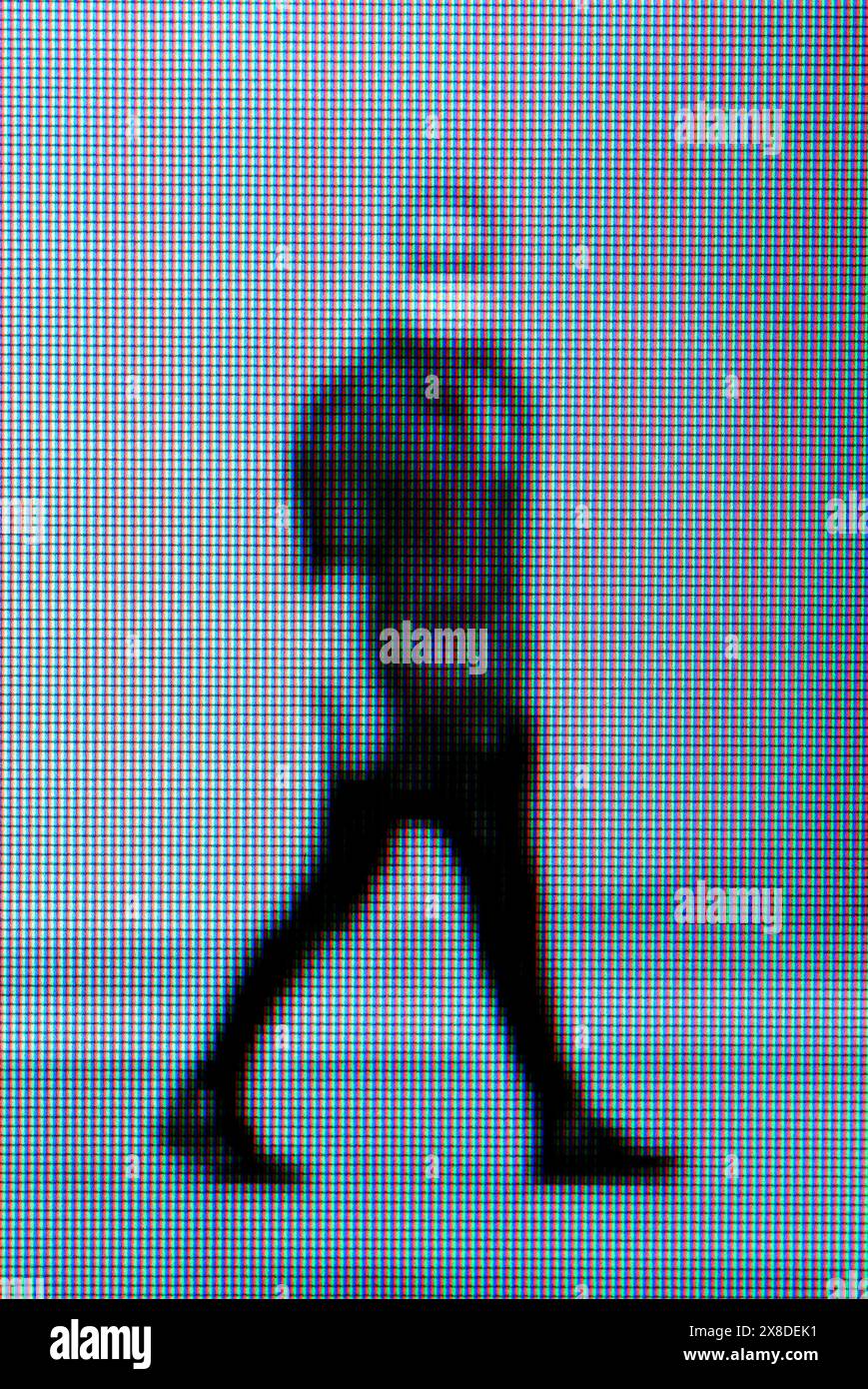 Personnes marchant dans différentes parties du monde avec des masques protecteurs pendant la pandémie du coronavirus - avril 2020 - Covid-19 Banque D'Images