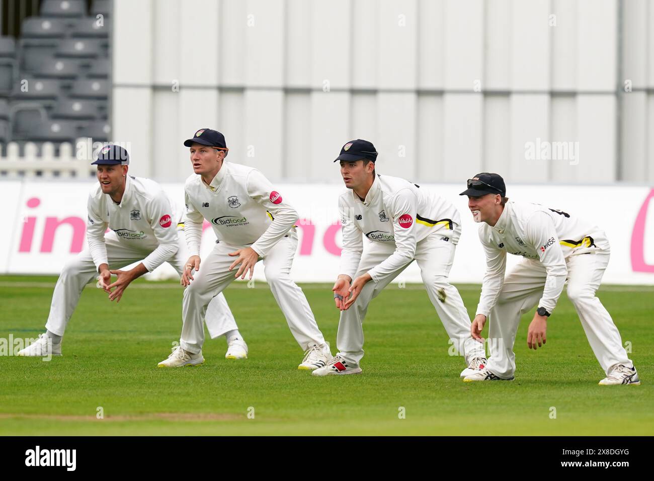 Bristol, Royaume-Uni, 24 mai 2024. Beau Webster du Gloucestershire, Cameron Bancroft, Ollie Price et Miles Hammond lors du match du Vitality County Championship entre le Gloucestershire et le Derbyshire. Crédit : Robbie Stephenson/Gloucestershire Cricket/Alamy Live News Banque D'Images