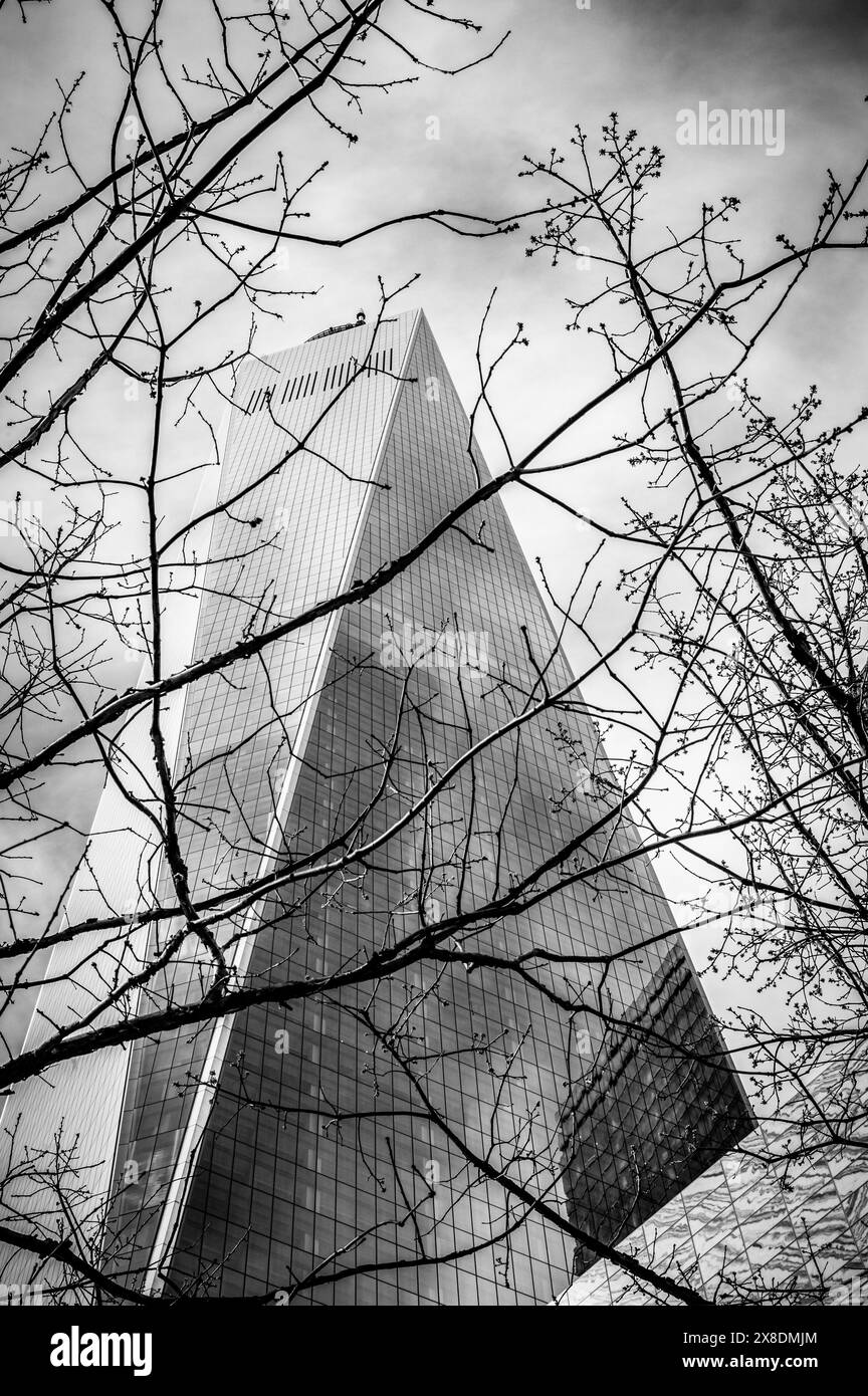 L'imposant One World Trade Center de New York perce le ciel. Un symbole de résilience pour les contenus de voyage et d'architecture. Quelques branches d'un arbre en vue. Banque D'Images