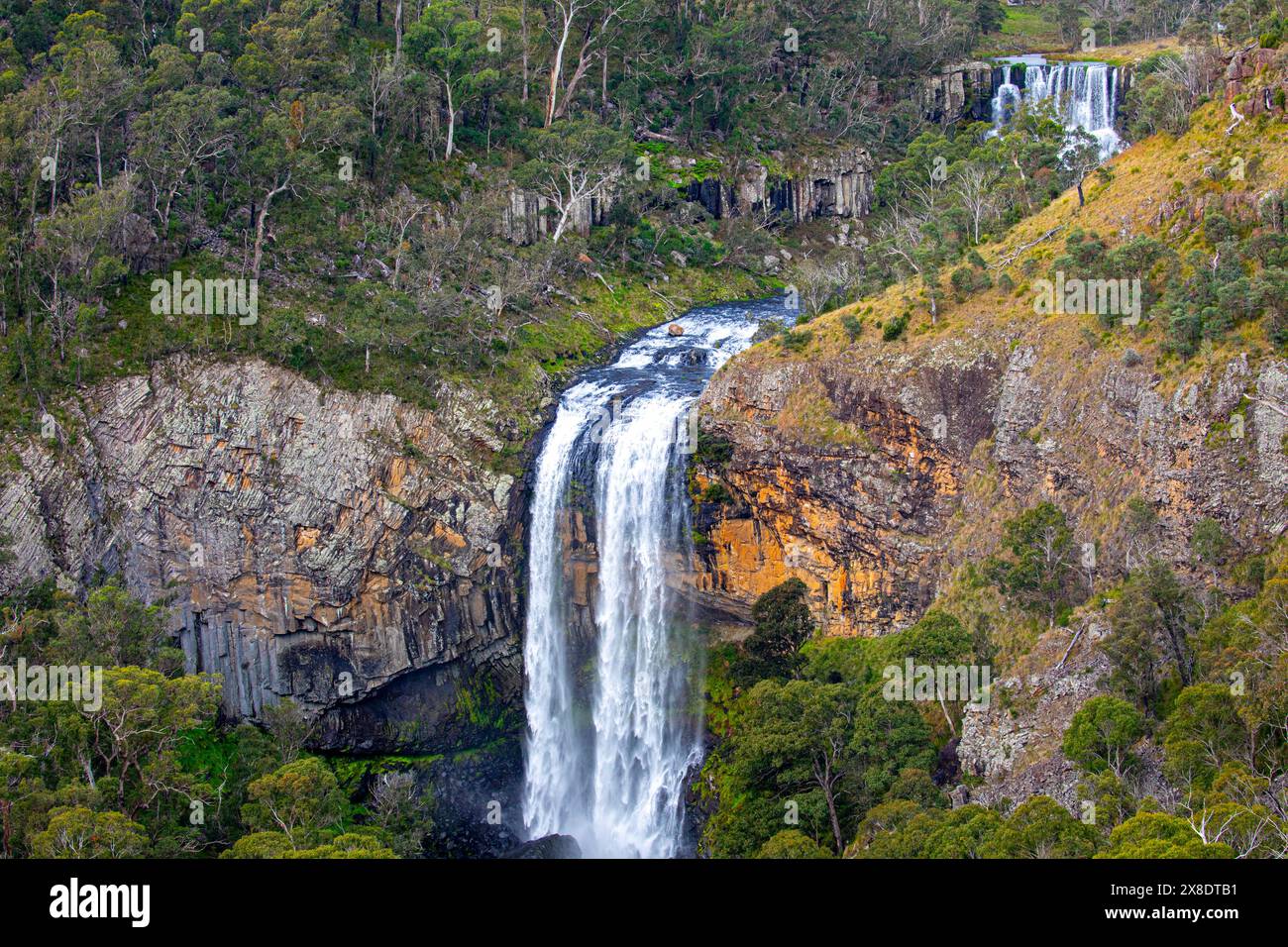 Chute d'eau Ebor Falls dans le parc national Guy Fawkes sur la Waterfall Way dans la région de Nouvelle-Angleterre de Nouvelle-Galles du Sud, Australie, automne 2024 Banque D'Images